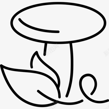 白蘑菇牛肝菌盖图标图标