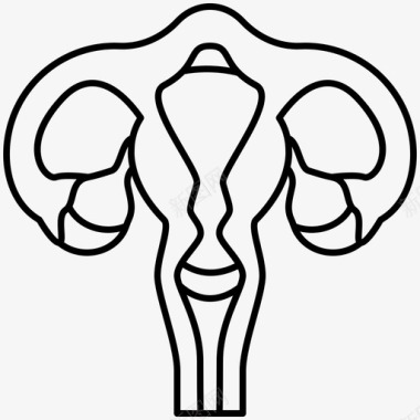 女性生殖生殖女性生殖器图标图标