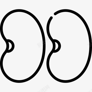 豆类豆类美国本土2直系图标图标