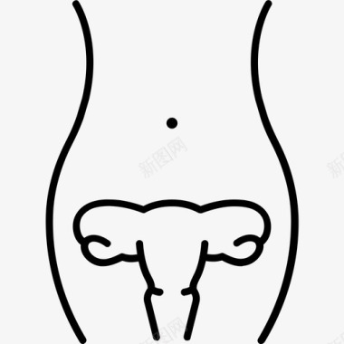 女性生殖系统生殖系统解剖学女性图标图标