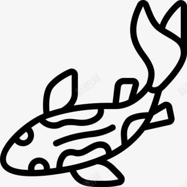 锦鲤鱼日本64直系图标图标