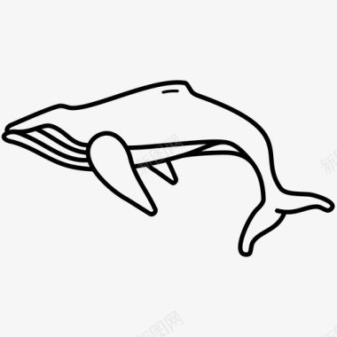 极地动物北极动物鲸鱼图标图标
