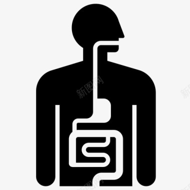 器官消化系统消化人体器官图标图标