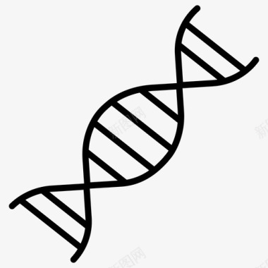 DNA模型Dna科学技术3概述图标图标