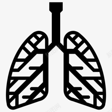 矢量人体骨架支气管人体器官肺图标图标