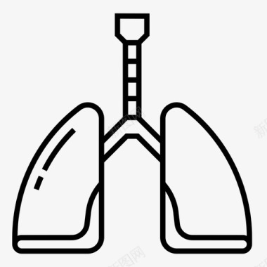 线图肺人体生物学人体器官图标图标