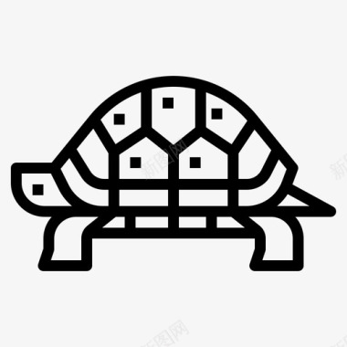 纯野生海龟动物爬行动物图标图标
