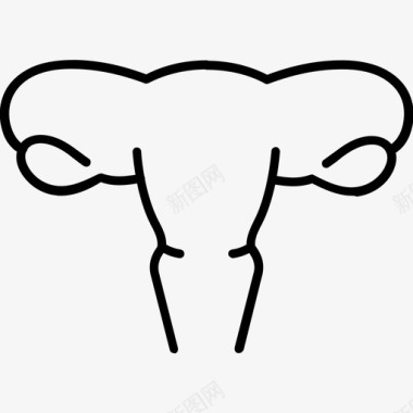 女性生殖系统生殖系统解剖学女性图标图标