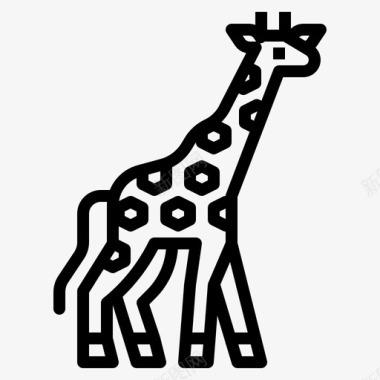 纯野生长颈鹿动物野生图标图标
