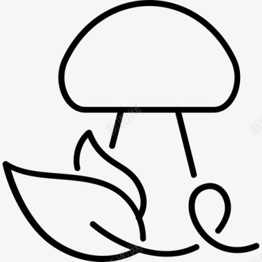 白蘑菇植物学烹饪图标图标