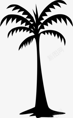 棕榈树海滩大自然图标图标