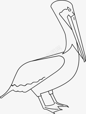 纯野生鹈鹕动物鸟图标图标