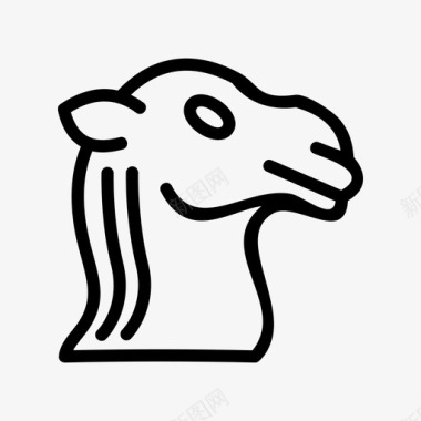 骆驼骆驼动物埃及图标图标