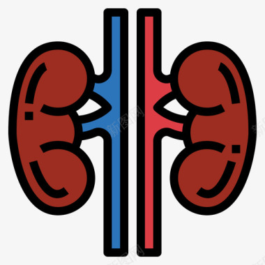 肾脏肾脏人体器官6线状颜色图标图标