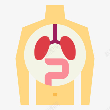 矢量人体骨架人体器官人体器官5扁平图标图标