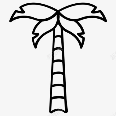 椰子树山毛榉树椰子树棕榈树图标图标
