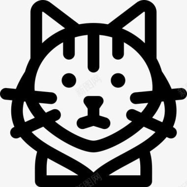 缅因州库恩猫猫品种5直系图标图标