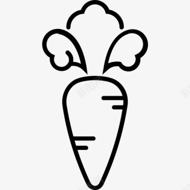 胡萝卜植物学烹饪图标图标