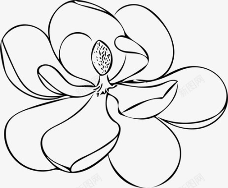 盛开的玉兰花雌蕊图标图标