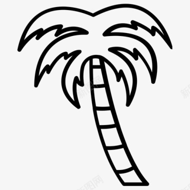 椰子树山毛榉树椰子树棕榈树图标图标
