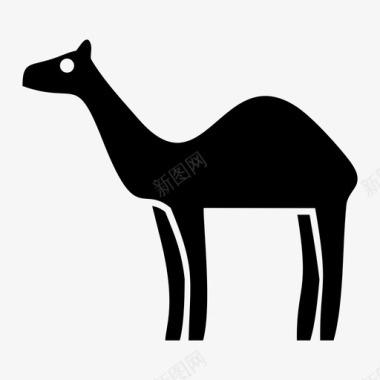 骆驼骆驼动物阿拉伯图标图标