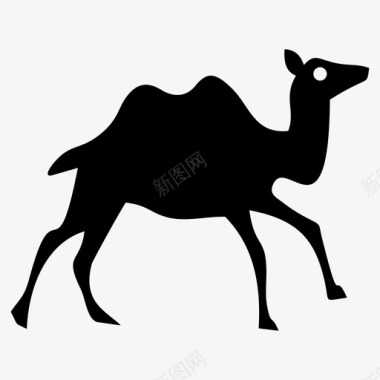 骆驼骆驼动物阿拉伯图标图标