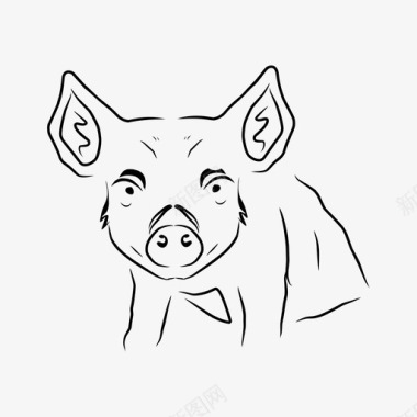 小猪小猪动物宠物图标图标