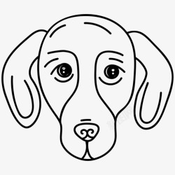 疯狂的狗的肖像家养腊肠犬食肉动物猎犬图标高清图片