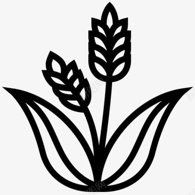 稻谷稻谷玻璃植物图标图标