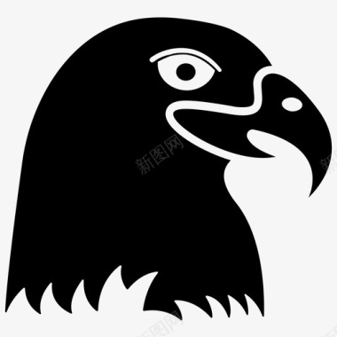 免扣黑乌鸦乌鸦鸟黑鸟图标图标