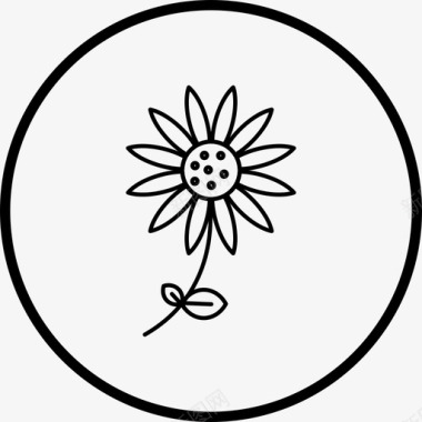太阳花自然向日葵图标图标