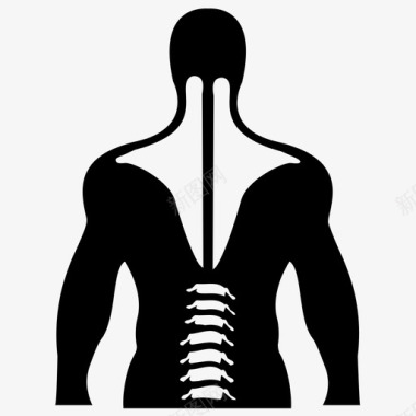 脊髓人体解剖学人体脊柱图标图标