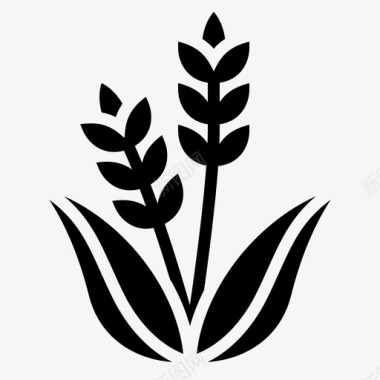 稻谷稻谷玻璃植物图标图标