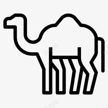 骆驼骆驼动物77直系图标图标