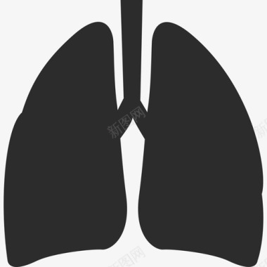 中国风健康肺部图标