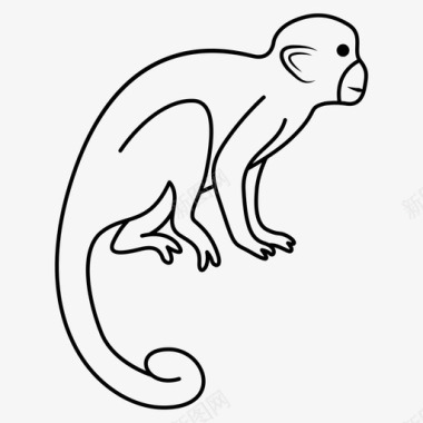 长尾巴猴子猴子动物猿猴图标图标