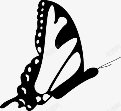 蝴蝶野生动物动物翅膀图标图标