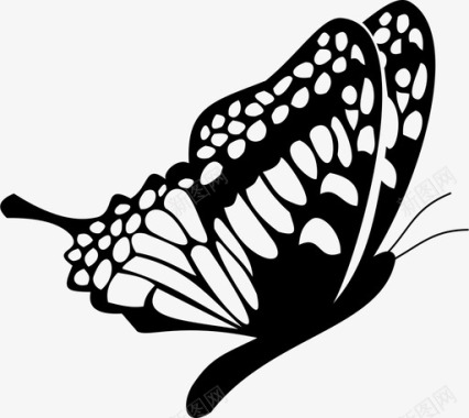 蝴蝶野生动物动物翅膀图标图标