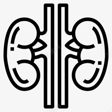 肾脏人体器官3线性图标图标