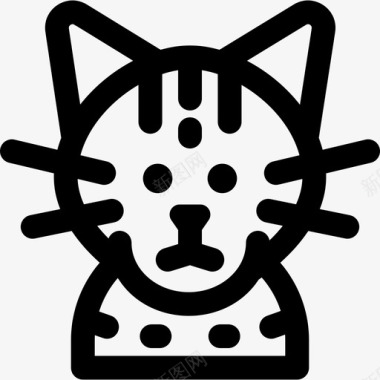 猫猫品种5直系图标图标