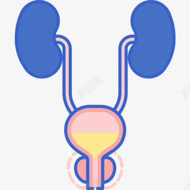 男性前列腺健康50线性颜色图标图标