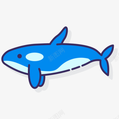 虎鲸动物22线性颜色图标图标