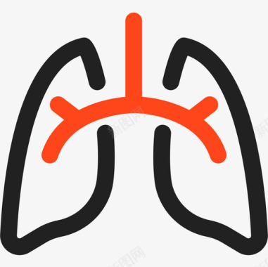 肺癌肺肺解剖学3双音图标图标