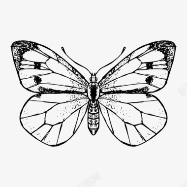 蝴蝶昆虫大自然图标图标