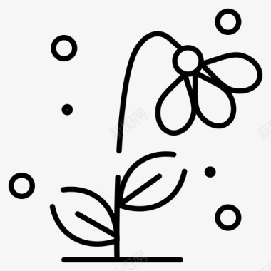 植物区系花卉花朵图标图标
