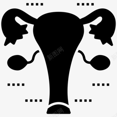 女性生殖子宫宫颈输卵管图标图标