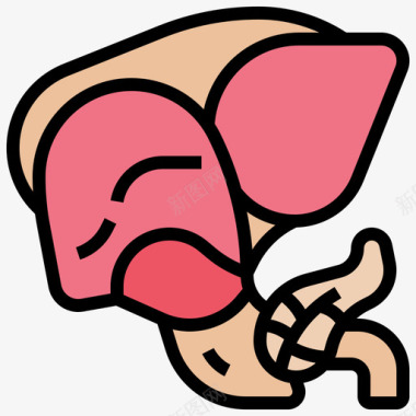 肝器官人体器官17线状颜色图标图标