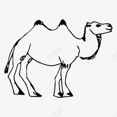 素描动物骆驼动物自然图标图标