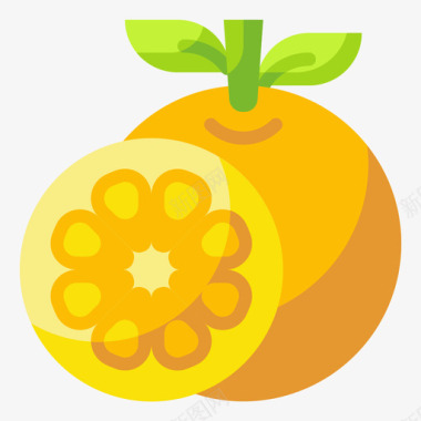 橘子水果和蔬菜49扁平图标图标