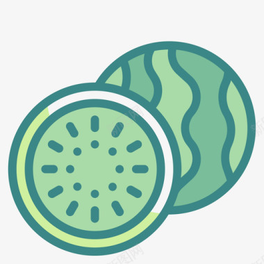 西瓜水果和蔬菜47双色图标图标
